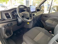 Daumennagel 10 - Ford Transit Kasten 350 L2 Limited