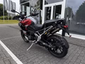 Daumennagel 6 - Triumph Tiger 1200 GT Explorer Aktionspreis!