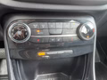 Daumennagel 21 - Ford Puma 1.0 EcoBoost Hybrid Aut. Titanium X