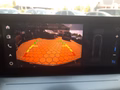 Daumennagel 21 - Opel Frontera GS Hybrid 145PS 7-Sitzer/LED/Navi/Kamera/Winterp. **