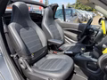Daumennagel 21 - Smart ForTwo CABRIO*TAILOR-MADE BRABUS ASPHALTGOLD*