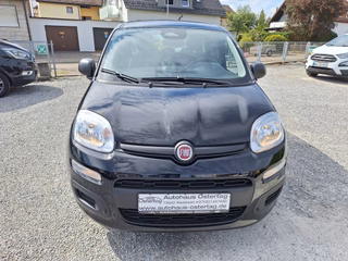 Fiat Panda Pandina Pop 1.0 Hybrid | Klima | PDC | Tempomat - bilder 4