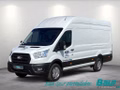 Daumennagel 1 - Ford Transit 350 L4H3 Lkw HA Trend Trennwand Metall