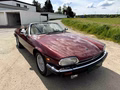 Daumennagel 10 - 1989 Jaguar XJS V12 Automatik Convertible