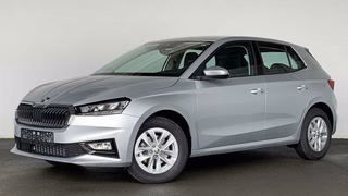 Skoda Fabia Gebrauchtwagen Kaufen