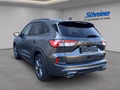 Daumennagel 3 - Ford Kuga Plug-In Hybrid ST-Line X