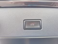 Daumennagel 17 - Volkswagen T-Roc 1,5TSI 150PS Navi/Winterp/el.Klappe