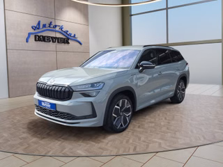 Skoda Kodiaq age.one-day registration Kaufen