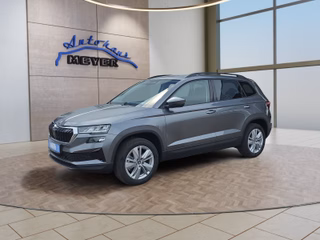 Skoda Karoq age.one-day registration Kaufen