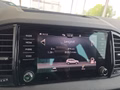 Daumennagel 38 - Skoda Karoq Sportline 1,5TSI DSG aAHK/ACC/Matrix/Navi/el.Klappe   **