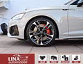 Daumennagel 13 - Audi S5 Sportb. 3.0 TDI Quat. RS-Sitze B&O ACC 20"