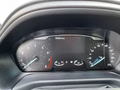 Daumennagel 10 - Ford Puma Titanium X