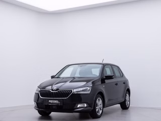 Skoda Fabia Gebrauchtwagen Kaufen