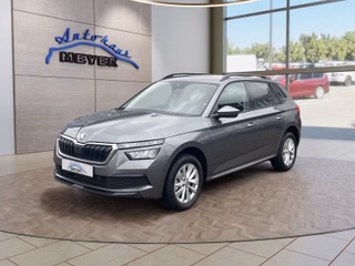 Skoda Kamiq Gebrauchtwagen Kaufen