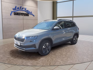Skoda Karoq 2,0TDI DSG 4*J.Gar/aAHK/Kamera/Kessy/Winterp.  **