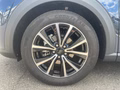 Daumennagel 12 - Ford Puma 1.0 EcoBoost Hybrid Aut. Titanium Navi/RFK