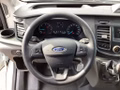 Daumennagel 9 - Ford Transit 350 L3H2 Lkw VA Basis AHK Seitenwandver