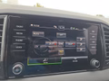 Daumennagel 49 - Skoda Karoq Sportline 1,5TSI DSG aAHK/Navi/Matrix/Kessy/Winterp.  **