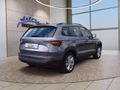 Daumennagel 5 - Skoda Karoq 2,0TDI DSG 4x4 Navi/LED/Kamera/ACC/Winterp.