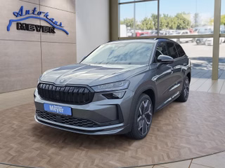 Skoda Kodiaq age.one-day registration Kaufen