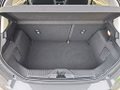 Daumennagel 17 - Ford Fiesta 1.0 EcoBoost S&S TITANIUM Winter-Paket