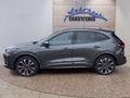 Daumennagel 2 - Ford Kuga ST-Line X 2,5 PHEV 20*Alu/AHK/Pano/Matrix/el.Klappe  **