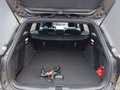 Daumennagel 19 - Ford Focus ST-Line X 1.0 155PS Aut. UPE=41700€