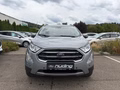 Daumennagel 3 - Ford EcoSport 1.0 EcoBoost Titanium PDC/LED/SZH