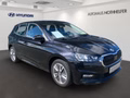 Daumennagel 2 - Skoda Fabia Style 1.0 TSI 110 PS