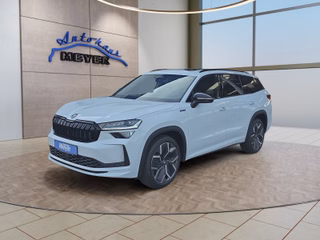 Skoda Kodiaq age.one-day registration Kaufen
