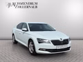 Daumennagel 8 - Skoda Superb Lim. 1.8 TSI DSG *ACC*CANTON*AHK*STDHZG*
