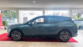 Daumennagel 7 - BMW iX 40 xDrive Sport