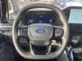 Daumennagel 19 - Ford Tourneo Custom 320 L1 2.0 EcoBlue Aut. NP Umbau