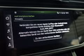 Daumennagel 29 - Audi Q8 55 TFSI quattro S-Line