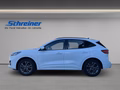 Daumennagel 2 - Ford Kuga Plug-In Hybrid ST-Line