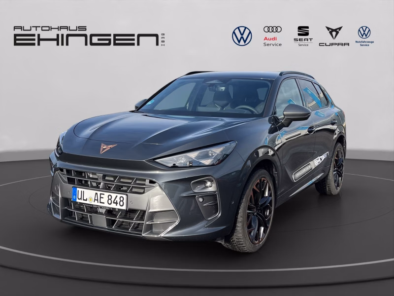 CUPRA Terramar 2.0 TSI DSG Allrad AHK+Matrix+ACC+Navi+Kamera