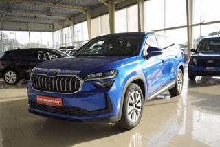 Skoda Kodiaq age.one-day registration Kaufen