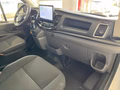 Daumennagel 8 - Ford Transit Kasten 350 L2 Limited