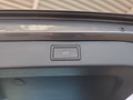 Daumennagel 24 - Skoda Kamiq Monte Carlo 1,5TSI DSG AHK/Matrix/el.Klappe         **