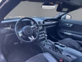 Daumennagel 13 - Ford Mustang GT Convertible
