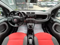 Thumbnail 12 - Fiat Panda 1.2 Pop/34TKM/I.HAND/ALLWETTER/TÜV-NEU/