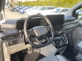 Daumennagel 14 - Ford Tourneo Custom 320 L1 2.0 EcoBlue Aut. NP Umbau