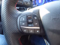 Daumennagel 14 - Ford Puma ST-Line