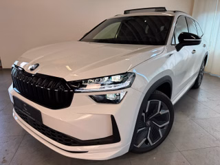 Skoda Kodiaq age.one-day registration Kaufen