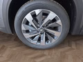 Daumennagel 14 - Skoda Kodiaq 2,0TDI DSG 4x4 aAHK/7-Sitzer/Matrix/Navi/el.Klappe   **