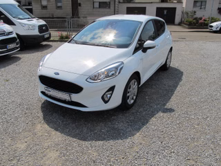 Ford Fiesta 1.0 EcoB. Trend Navi DAB Klimaauto PPS Hi Winter-P. - foto 1