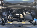 Daumennagel 11 - Volkswagen Tayron 1.5 eTSI 110 kW Life KAM,WR,AHK,4 J.Gar.