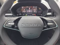 Daumennagel 19 - Skoda Fabia 1,0TSI DSG 2-Z.Klimaaut/Winterp/Temp/LED/Pdc