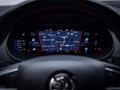 Daumennagel 17 - Skoda Octavia Combi RS 245 /COLUMB/VIRTUAL/ACC/AHK/RFK