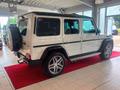 Daumennagel 7 - Mercedes-Benz G 63 AMG PANO/AHK/H&K
